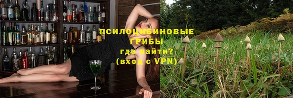 сатива Нефтегорск