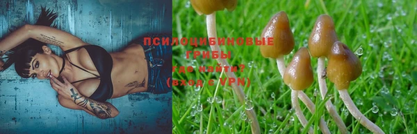 дурь Нефтекумск