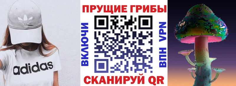 Псилоцибиновые грибы Psilocybe  Купить где  Дальнереченск 